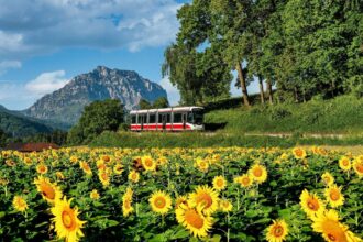 Mobilität im Salzkammergut