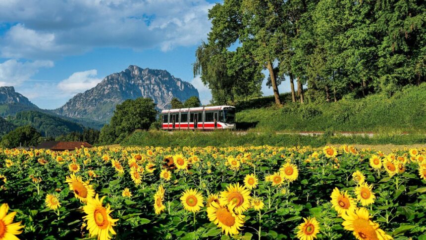 Mobilität im Salzkammergut