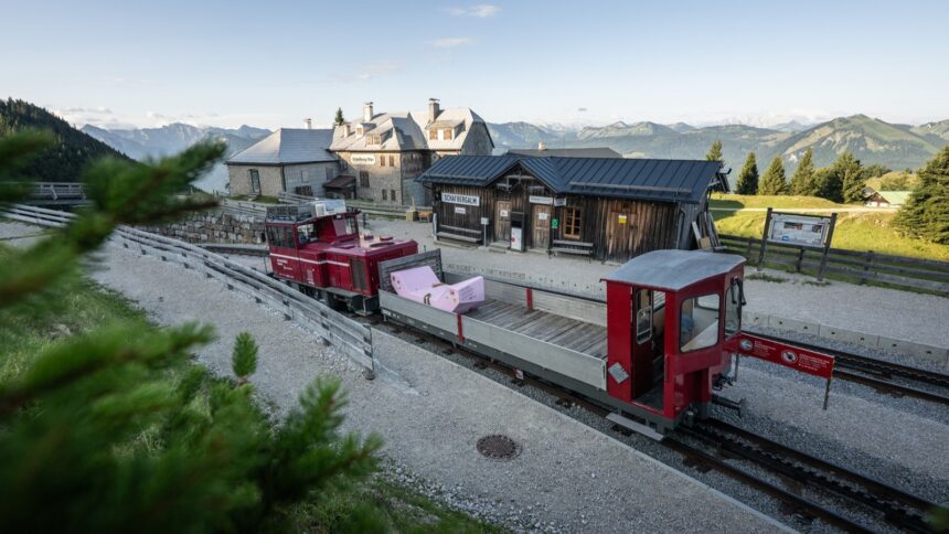 Enzi on tour am Schafberg