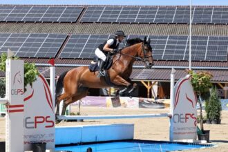 Festtage des Reitsports am Attersee