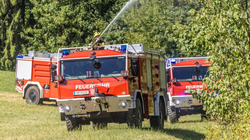 Tatra Fahrzeug Waldbrände