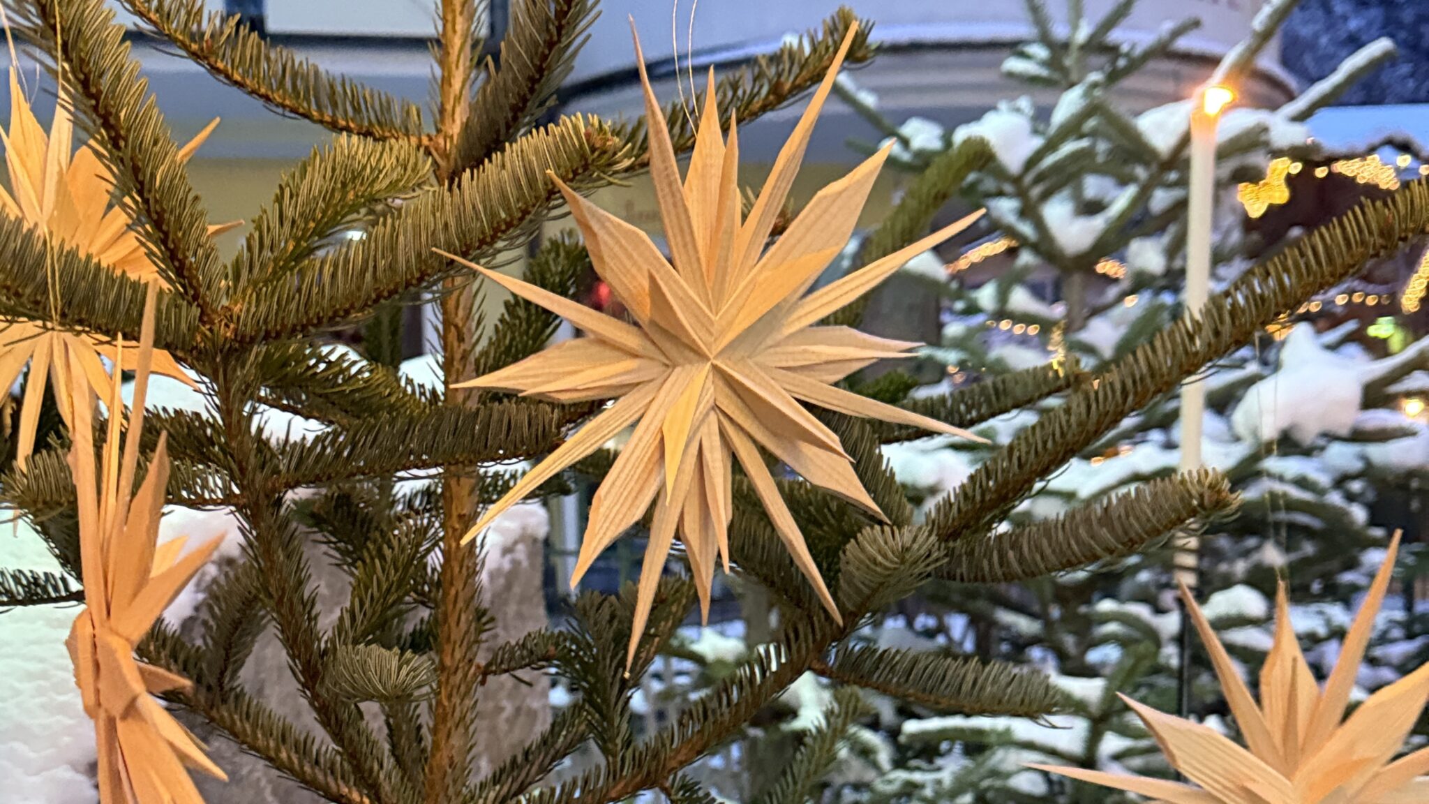 Weihnachtsbaum mit Sternen